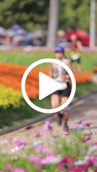 BIB:  <button type="button" onclick="openModal(27588373)" class="btn btn-primary btn-sm float-right" data-toggle="modal" data-target=".modal-high-quality">
                <i class="fa fa-download"></i> Download
                </button>